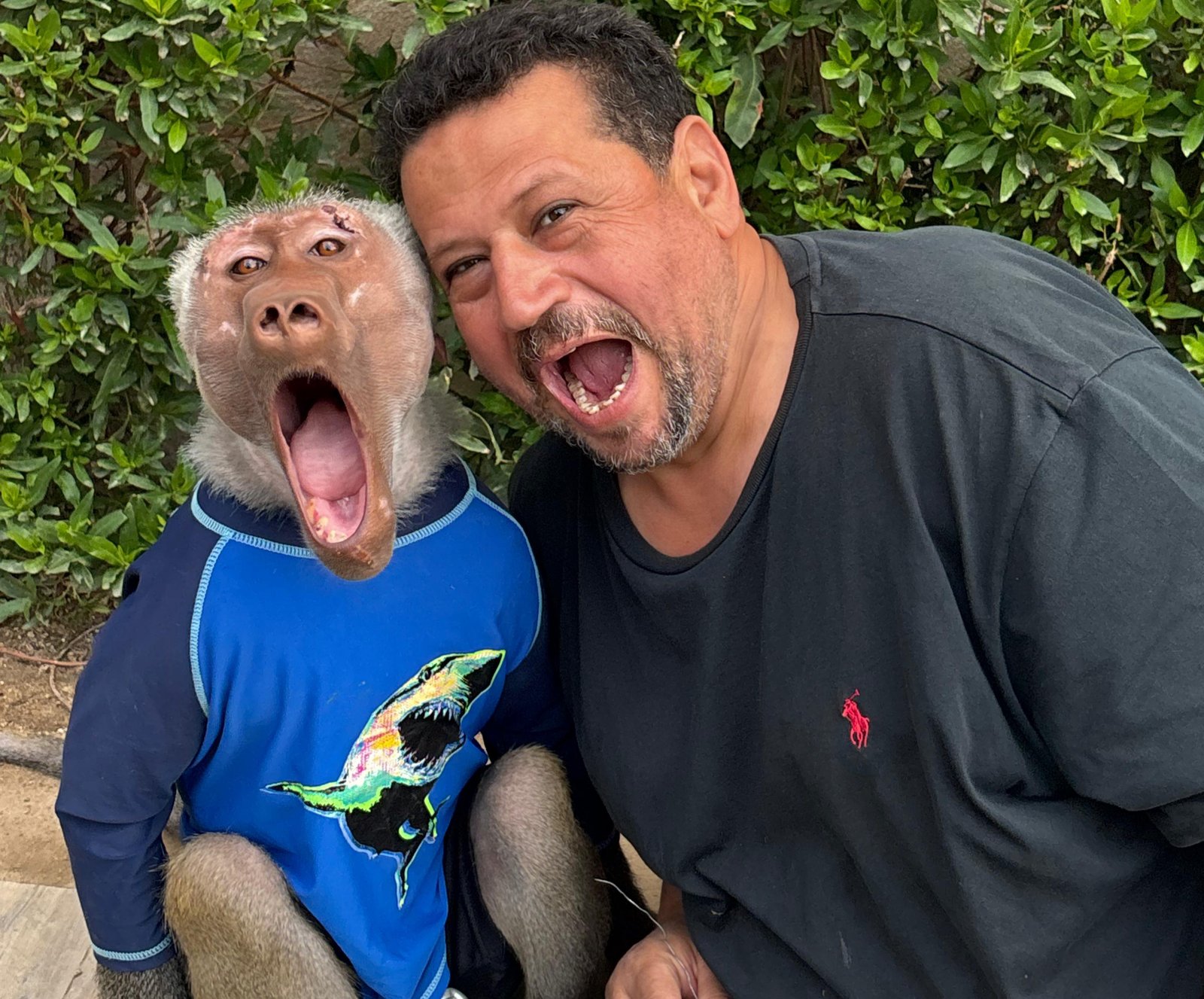 Our Animals