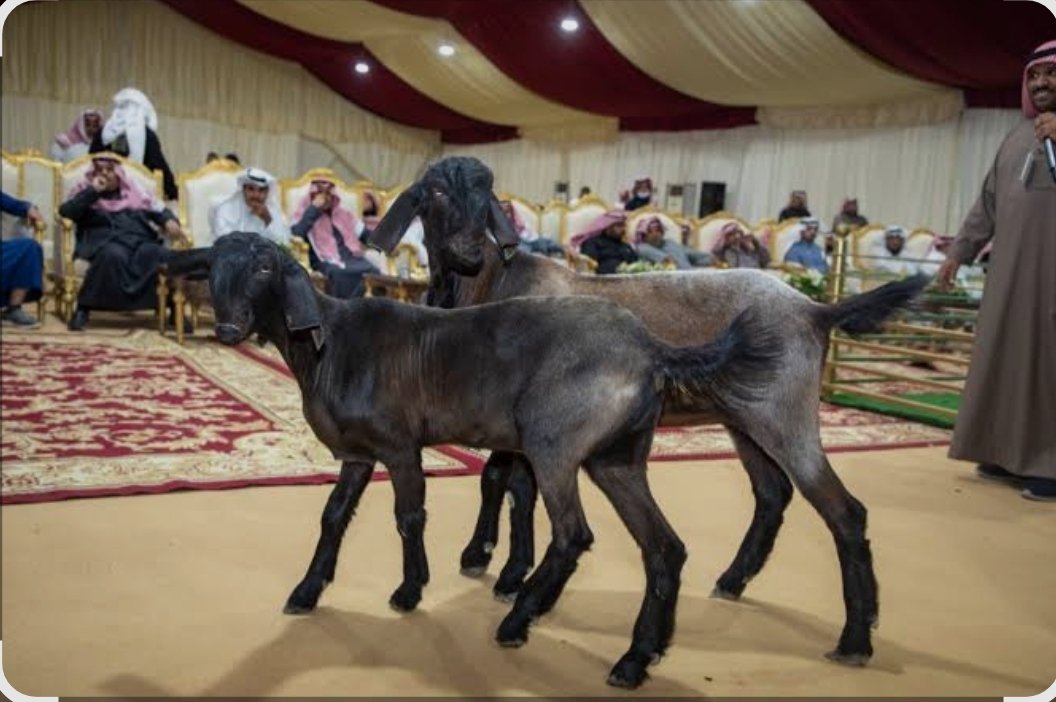 Auctions